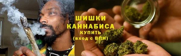 2c-b Богородицк